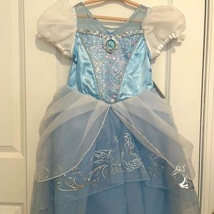 Cinderella dress/costume